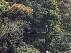 -天鹿湖森林公园