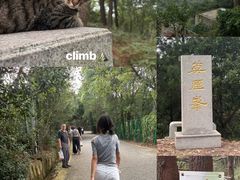 -雨花胜境