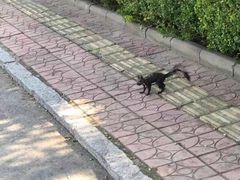 -日照海滨国家森林公园