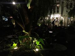 -Fern Forest Cafe