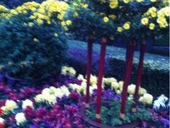 iphone_upload_pic-迎泽公园