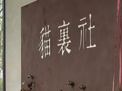-猫里有甜