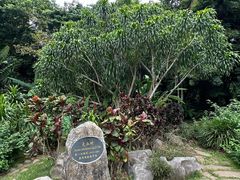 -中国科学院西双版纳热带植物园