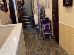 -宠爱国际动物医院·消化内科·心肾内科·ISFM猫友好(望京店)