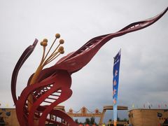 -金塔沙漠胡杨林景区