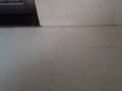 -巢爷老味(东方红店)