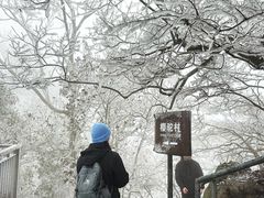 -紫金山山顶公园