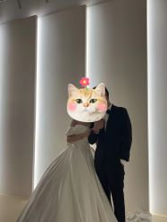 -金夫人婚纱摄影(总店)