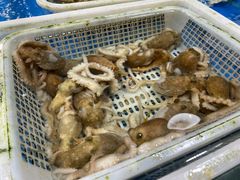 -王四营海鲜市场