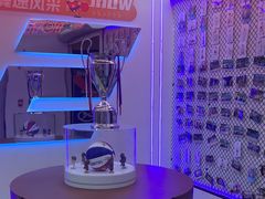 -翼速篮球·儿童体适能·中考体育(鲁能城店)