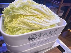 -骨气鼓气羊棒骨·羊蝎子(住总万科广场店)