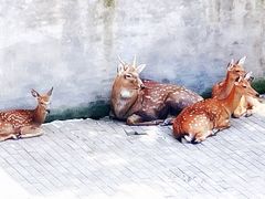 -台州府城(江南长城)