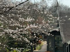 -南京市江宁方山