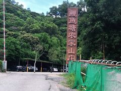 -鲤鱼塘农家山庄