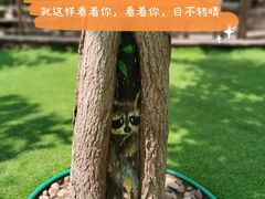 -北京鹿世界主题园