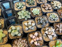 -瑞虹新天地月亮湾