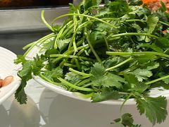 -杨氏青龙虾·羊蝎子(金盛路总店)
