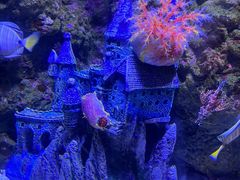 -成都浩海立方海洋公园