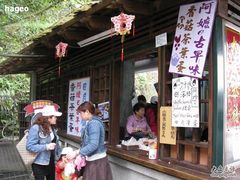 -金盆阿嬷香菇茶叶蛋(玄光店)