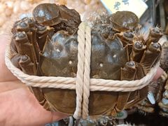 -金穗-老荣成·荣成菜