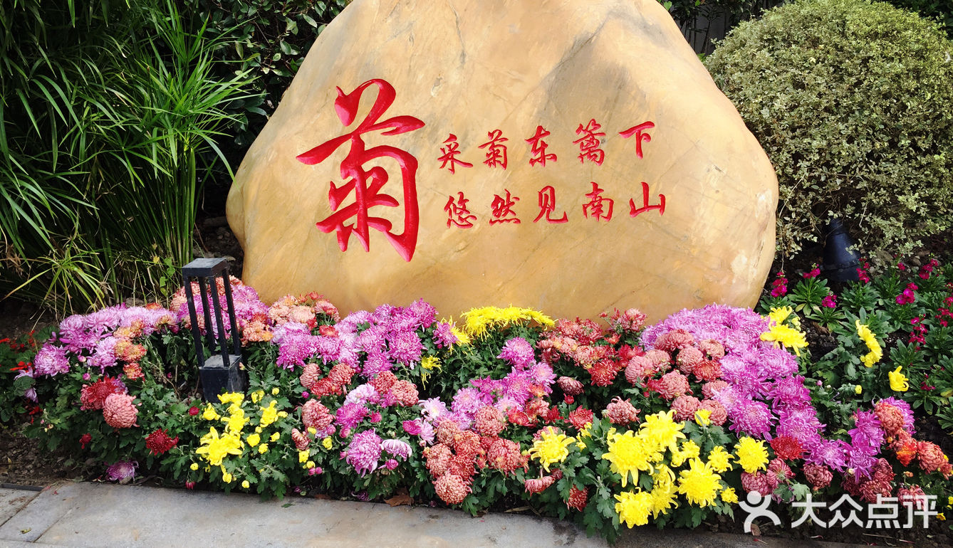 梅兰竹菊诗情画意——清风园（菊花盛开中）