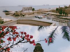 -集美学村