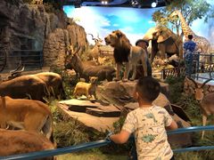 -陕西自然博物馆