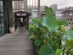 -道南書院·私房菜·早午茶·茶馆