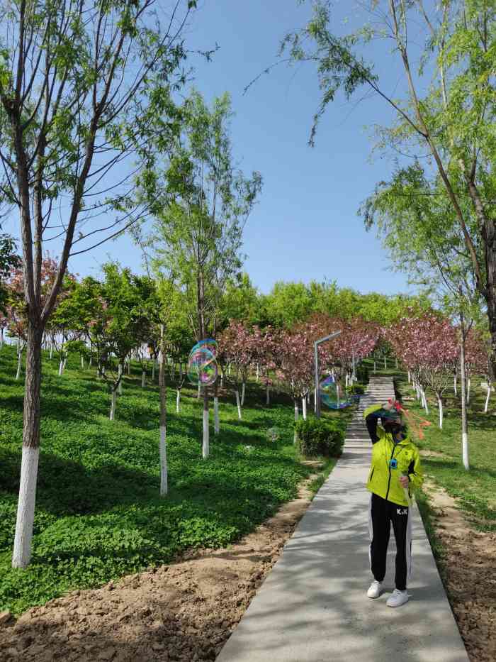 樊川公园-"西京大学再往东,鼓乐广场的东临,柳青."-大众点评移动版