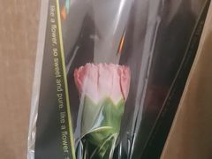 -昌勝香港深井烧鹅(新年华店)