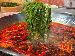 -小龙坎火锅(春熙太古里店)