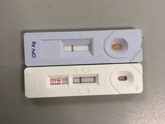-成都民大动物医院