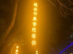 -印象普陀