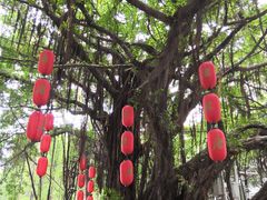 -侨美唐荔园·宴会厅(唐荔园食艺馆店)