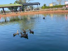 -侯臣咖啡文化村