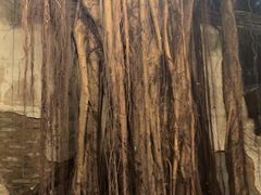 -文儒九号·闽菜馆(三坊七巷店)