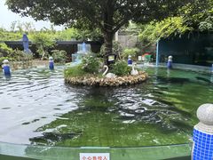 -天怡·鱼工厂(临江店)