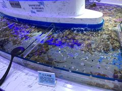 大闸蟹-澜悦港海鲜体验主题餐厅