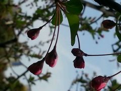 android_upload_pic-苏州河梦清园环保主题公园