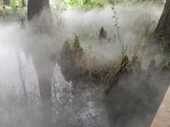 -东湖落雁景区