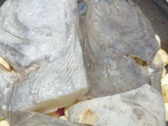 -渔码头食府(蓬莱阁店)