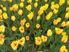 -长春公园(普阳街道)