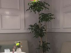 -潮一不贰·法式甜品·生日蛋糕·西式简餐(外滩店)