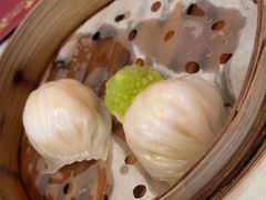 -南海渔村(珠江新城店)
