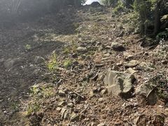 -北仑森林植物园