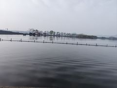 -西湖游船