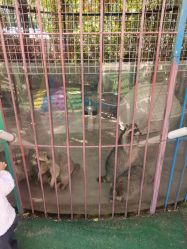 -萌宠亲子动物乐园(槐房万达店)