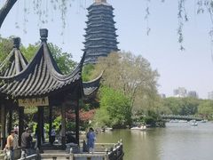 -红梅公园