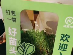 -海底捞火锅(青悦城店)