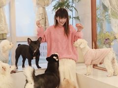 -共舞时光猫咖·狗咖(新街口店)